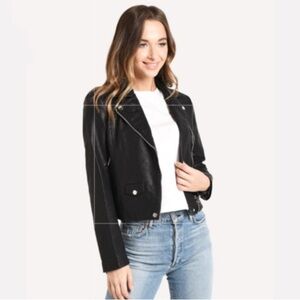 Cupcakes And Cashmere Ines Classic Moto Jacket